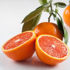 鲜丰水果 秭归脐橙 中华红橙