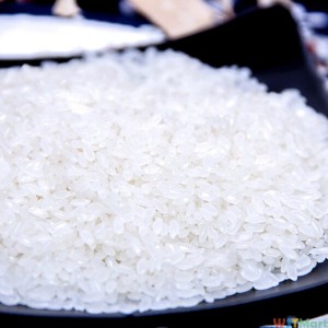 十月稻田 长粒香大米 东北大米5kg